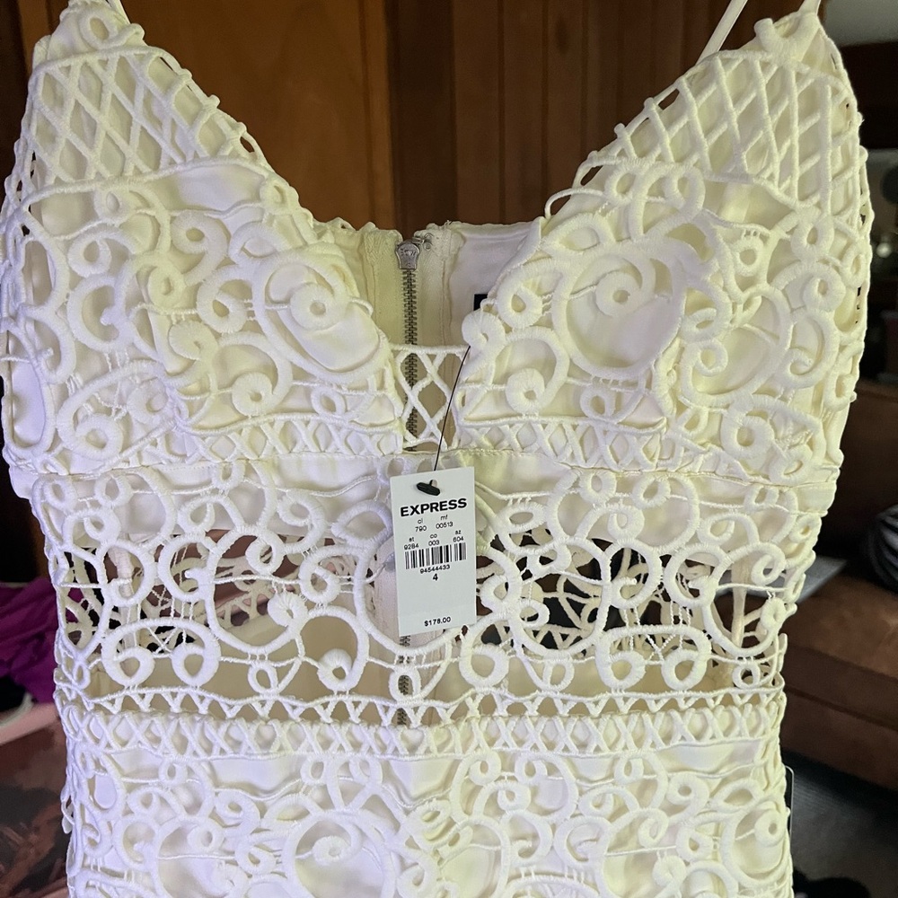 Express Crochet Lace Dress